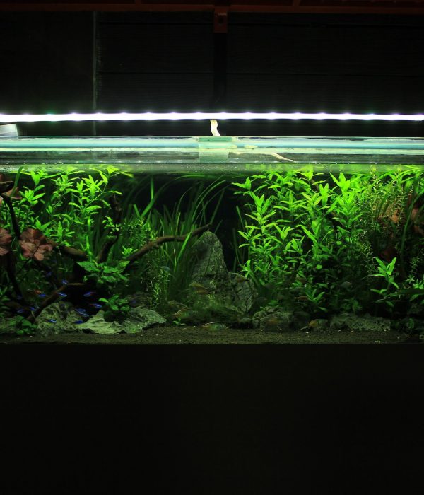 Uniscapes aquarium tank 1-2